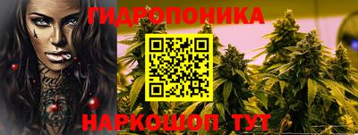 мяу мяу мука Кунгур