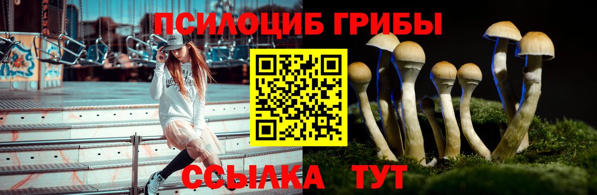 Псилоцибиновые грибы MAGIC MUSHROOMS Будённовск